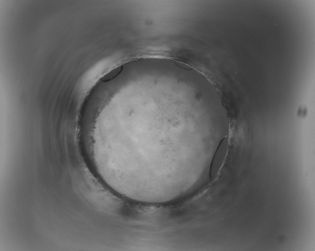 X0000112530293200909141254