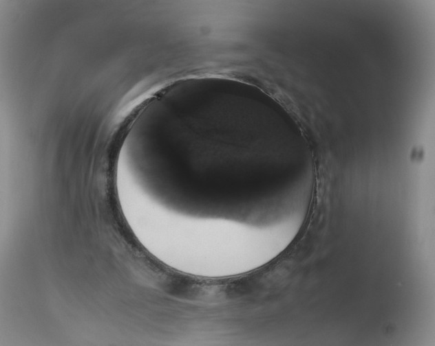 X0000112530295200909141254