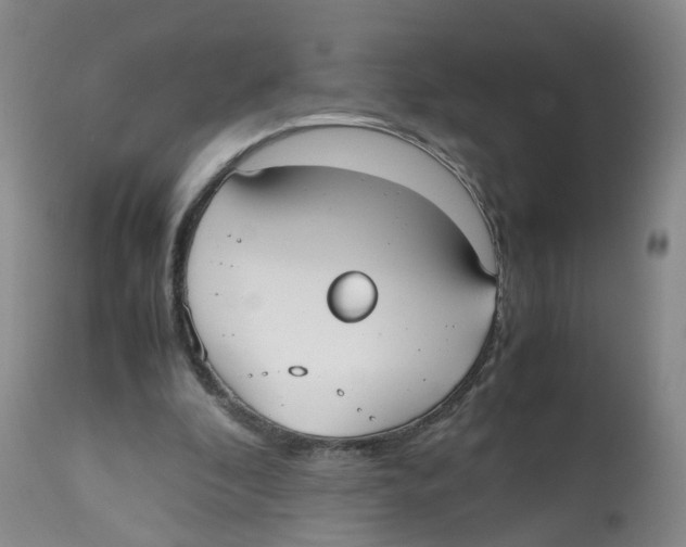 X0000112530296200909141254