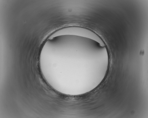 X0000112530297200909141254