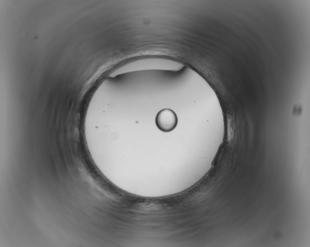 X0000112530300200909141254