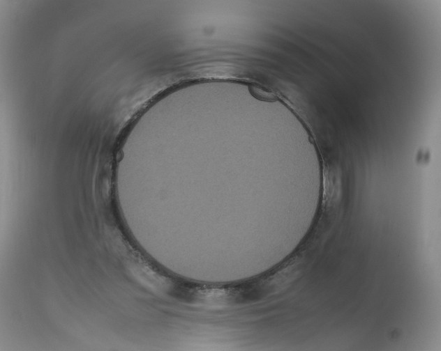 X0000112530301200909141254