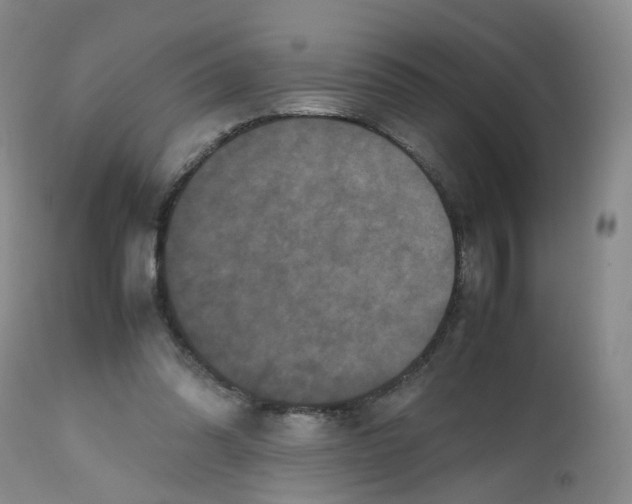 X0000112530302200909141254