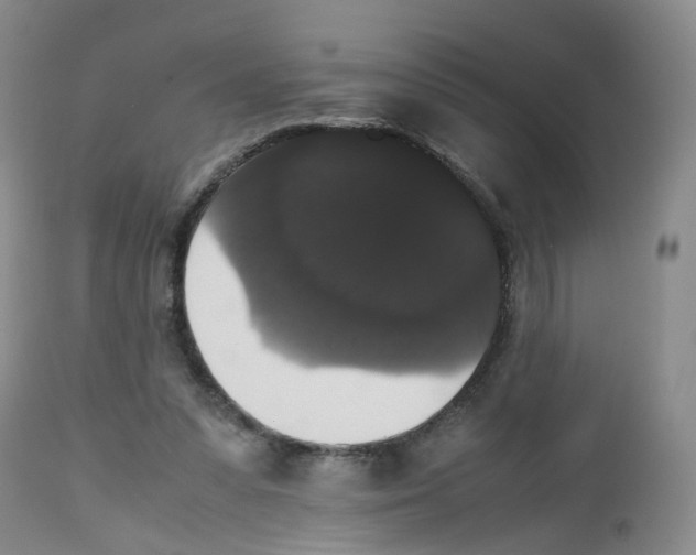 X0000112530303200909141254