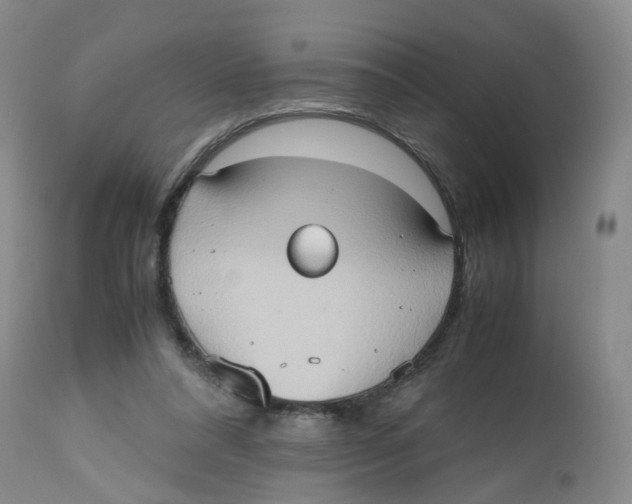 X0000112530304200909141254