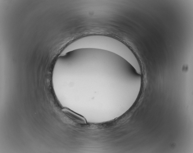 X0000112530305200909141253