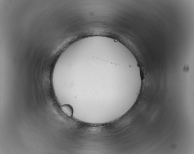 X0000112530306200909141253