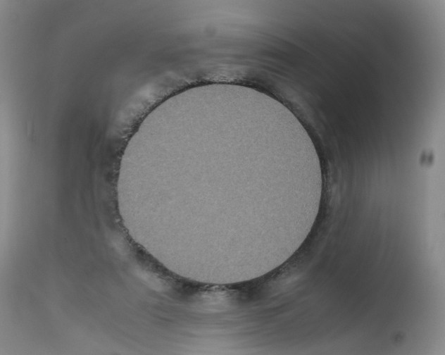 X0000112530307200909141253