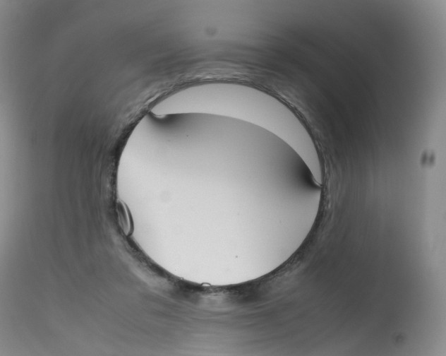 X0000112530309200909141253