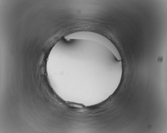 X0000112530313200909141253