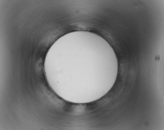 X0000112530318200909141253