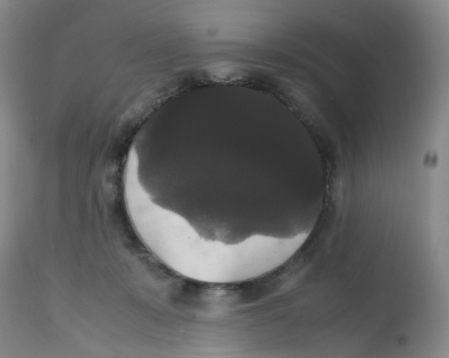 X0000112530319200909141253