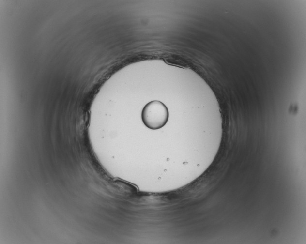 X0000112530320200909141253