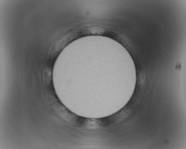 X0000112530321200909141253