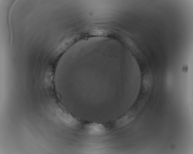 X0000112530322200909141253