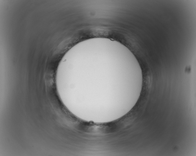 X0000112530323200909141253