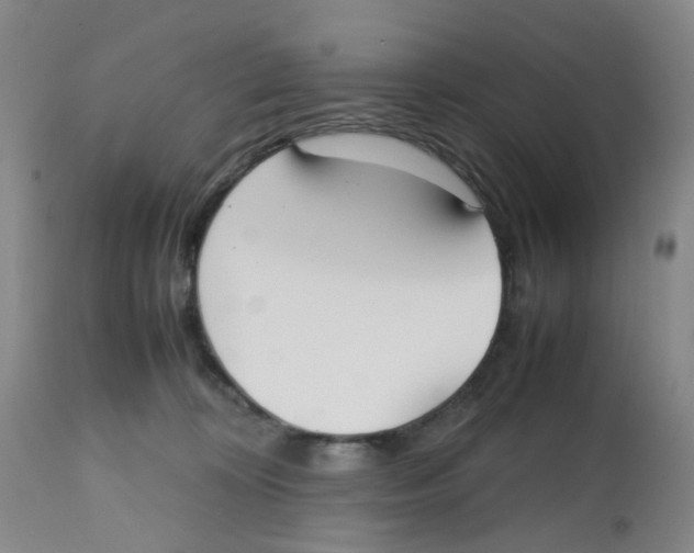 X0000112530324200909141253