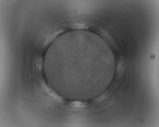 X0000112530326200909141253