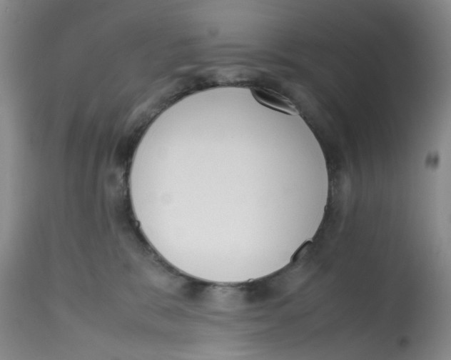 X0000112530327200909141253