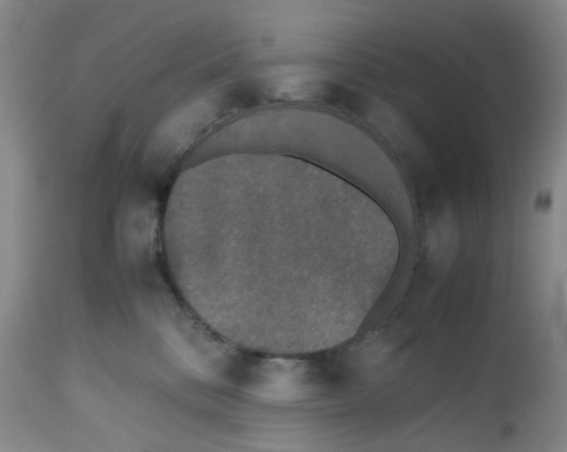 X0000112530328200909141253