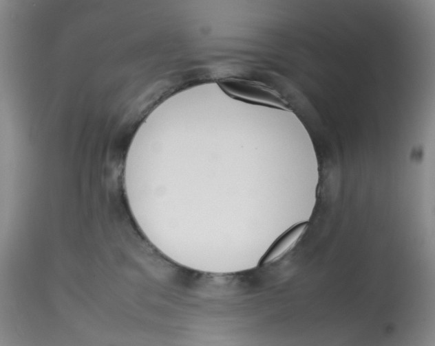 X0000112530329200909141253