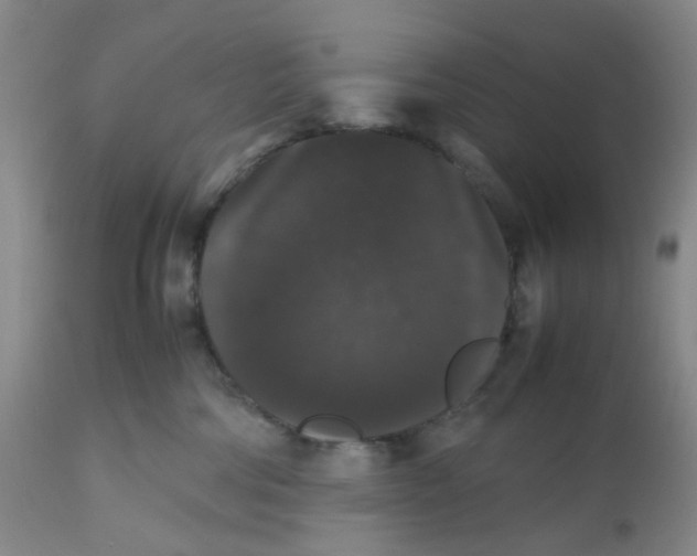 X0000112530330200909141253