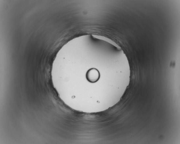 X0000112530332200909141253