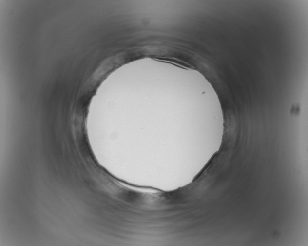 X0000112530333200909141253