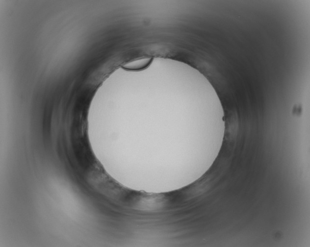 X0000112530334200909141253