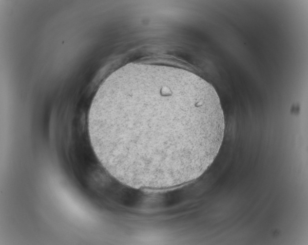 X0000112530335200909141253