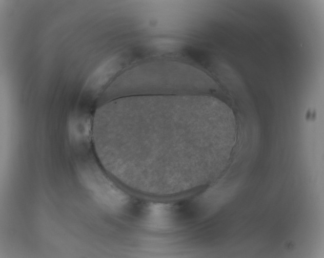 X0000112530336200909141253