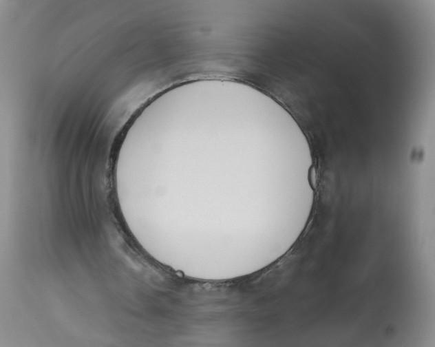 X0000112530338200909141252