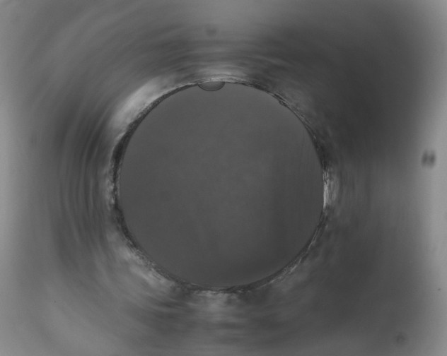 X0000112530339200909141252