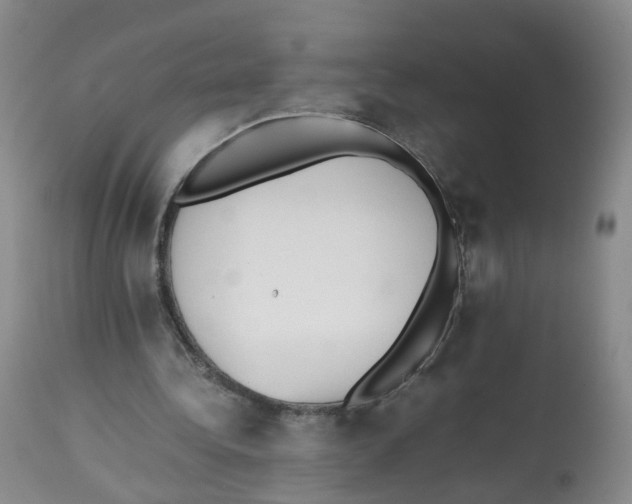 X0000112530340200909141252