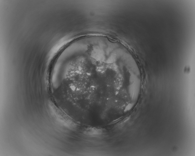 X0000112530343200909141252