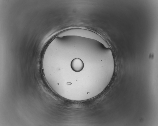 X0000112530344200909141252