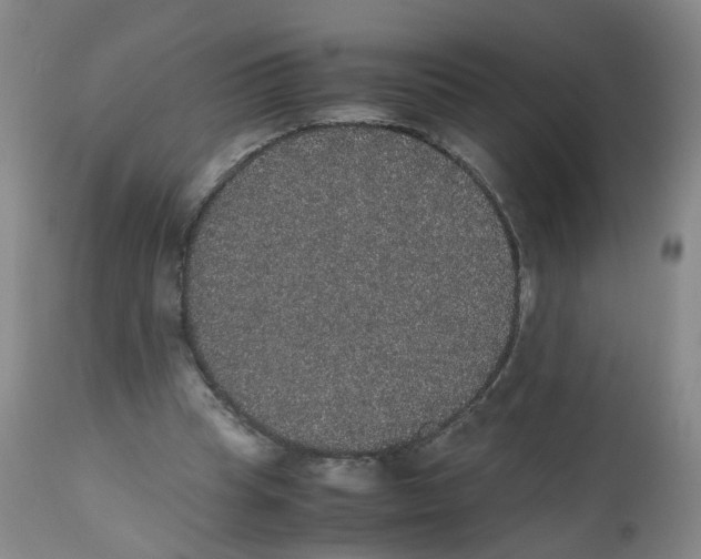 X0000112530345200909141252