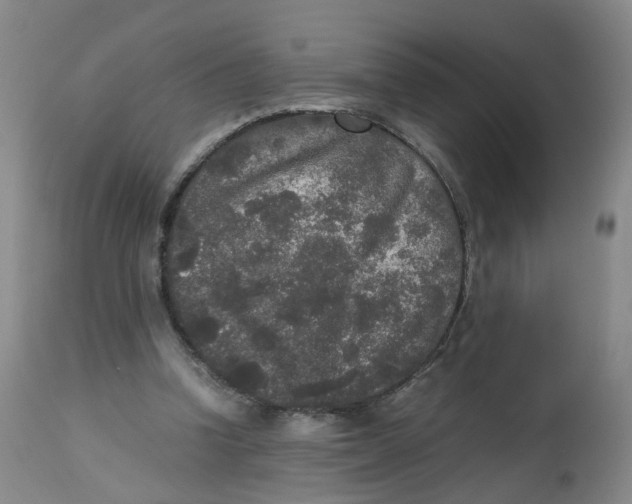 X0000112530346200909141252