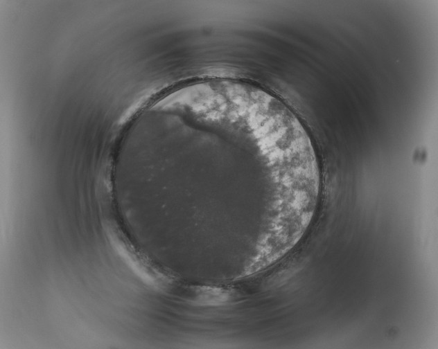 X0000112530347200909141252