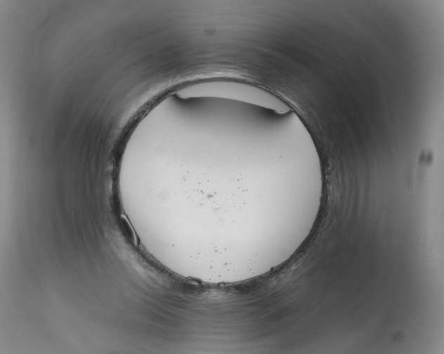 X0000112530350200909141252