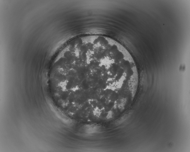 X0000112530351200909141252