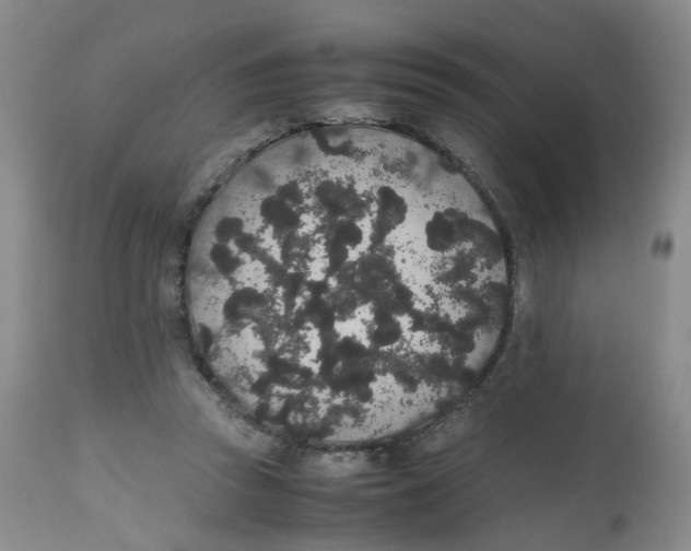 X0000112530353200909141252