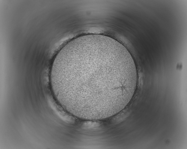 X0000112530354200909141252