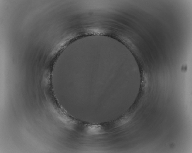 X0000112530355200909141252