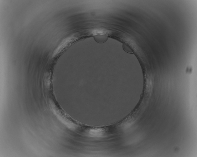 X0000112530357200909141253