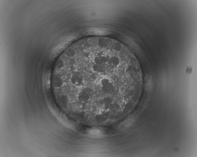 X0000112530358200909141253