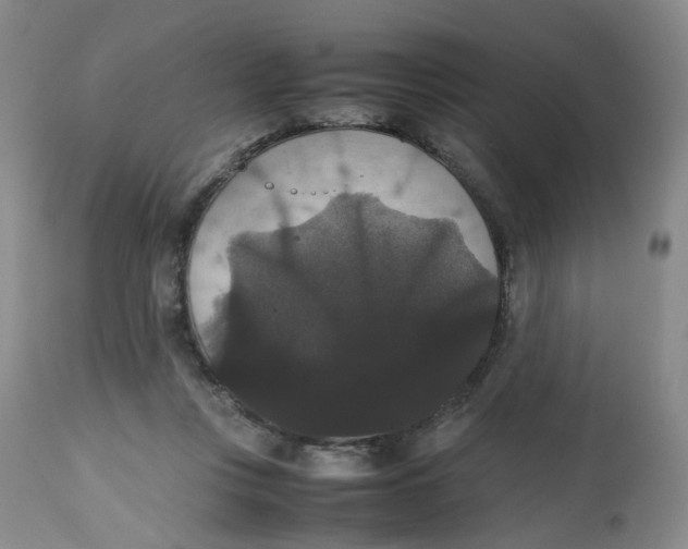 X0000112530359200909141253