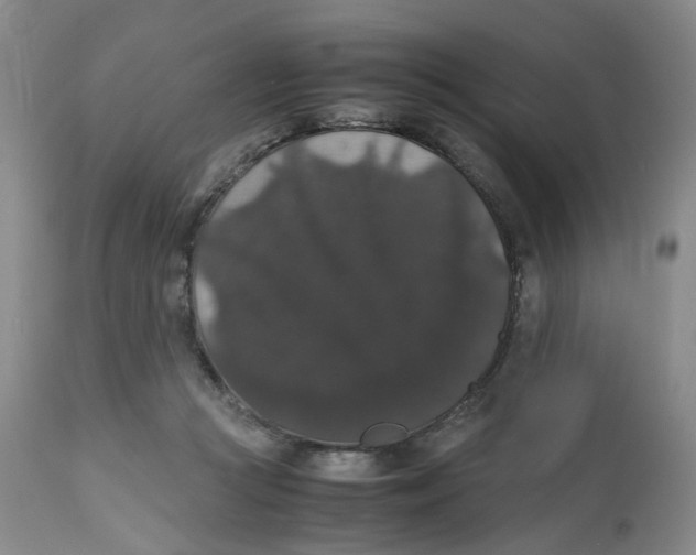 X0000112530361200909141253