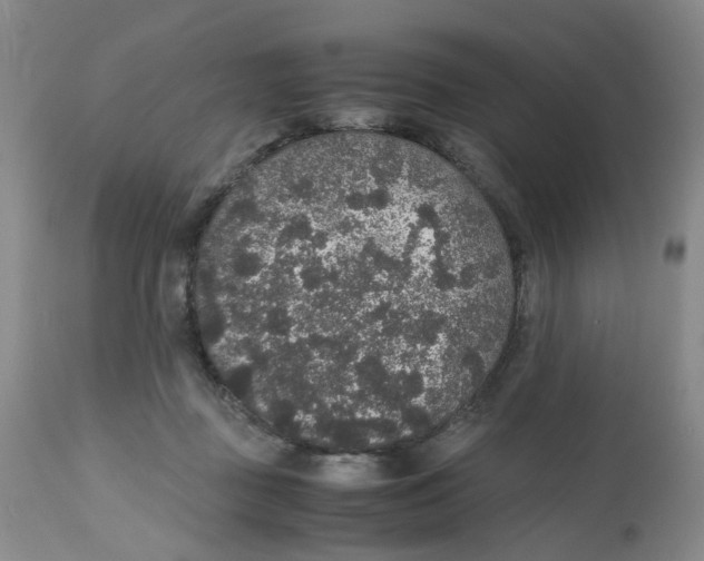 X0000112530363200909141253