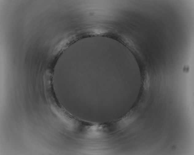 X0000112530366200909141253